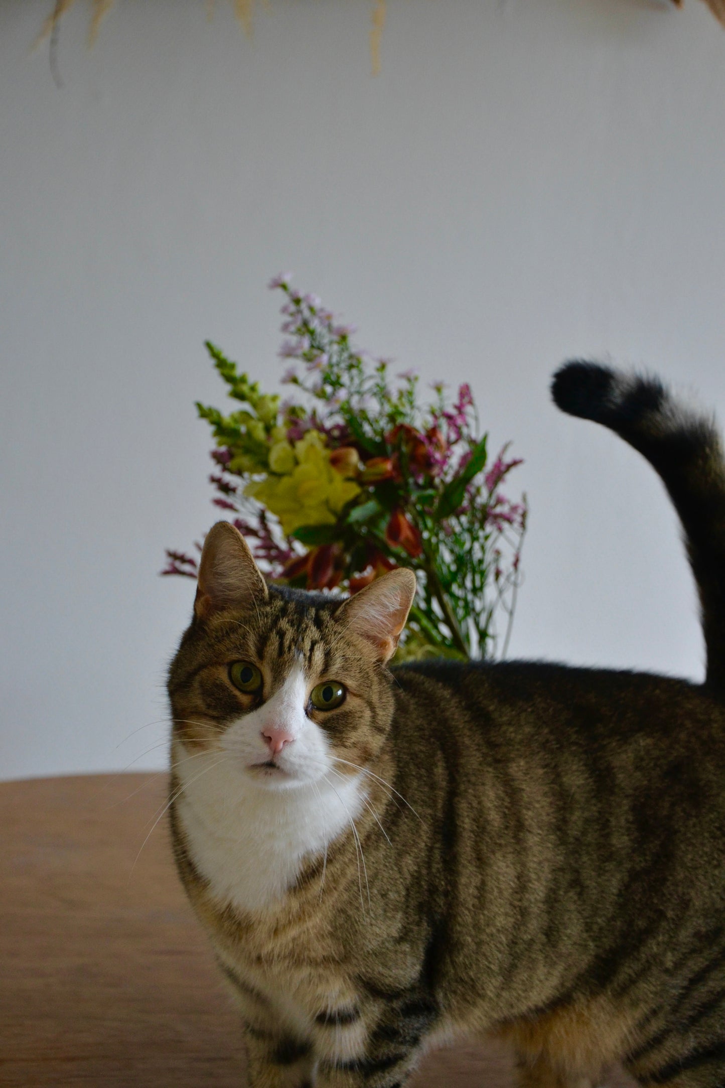 Cat-friendly cut flower bouquet