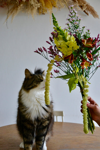 Cat-friendly cut flower bouquet