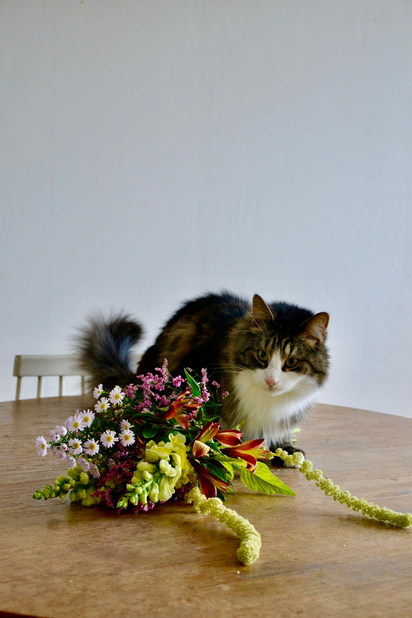 Cat-friendly cut flower bouquet