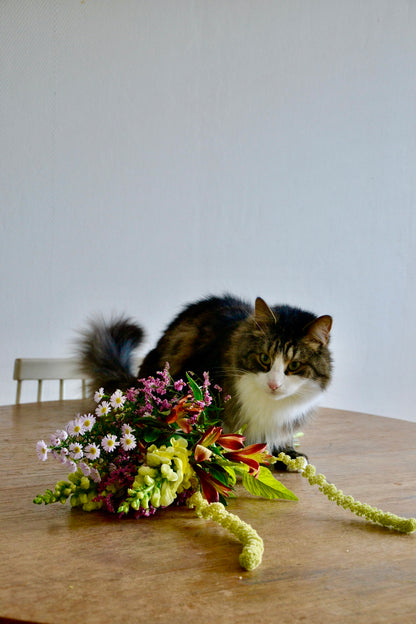 Cat-friendly cut flower bouquet