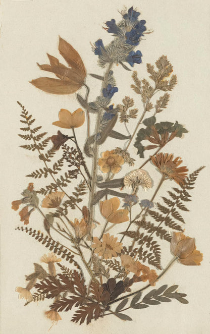Pouta ry x Harjun Kukka: Flowers and Collages Workshop Sun 28 June, 2–4 PM